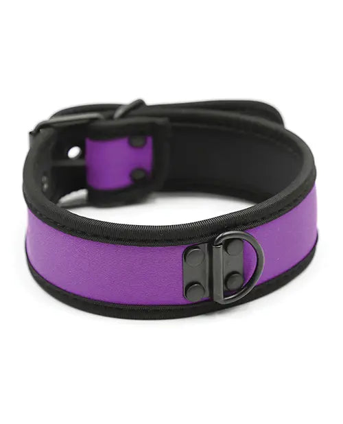 Puppy Collar Purple - eld PLB75865PP