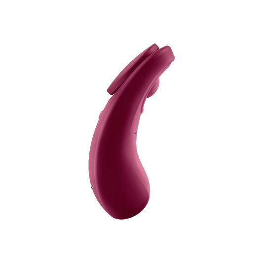 Satisfyer Sexy Secret-Panty Vibrator