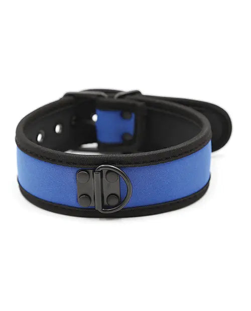 Puppy Collar Blue - eld PLB75865BL