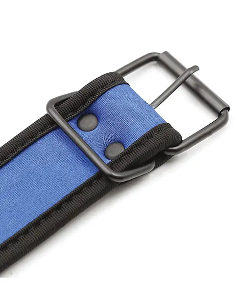 Puppy Collar Blue - eld PLB75865BL