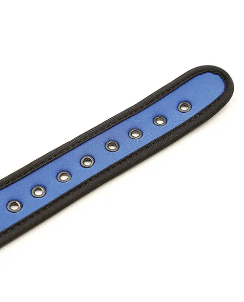 Puppy Collar Blue - eld PLB75865BL