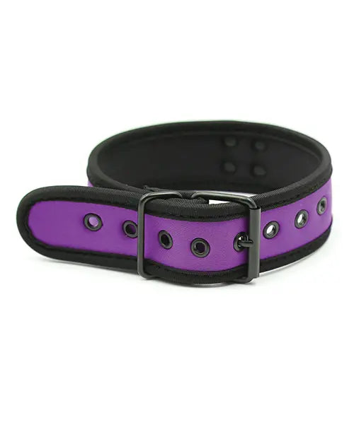 Puppy Collar Purple - eld PLB75865PP